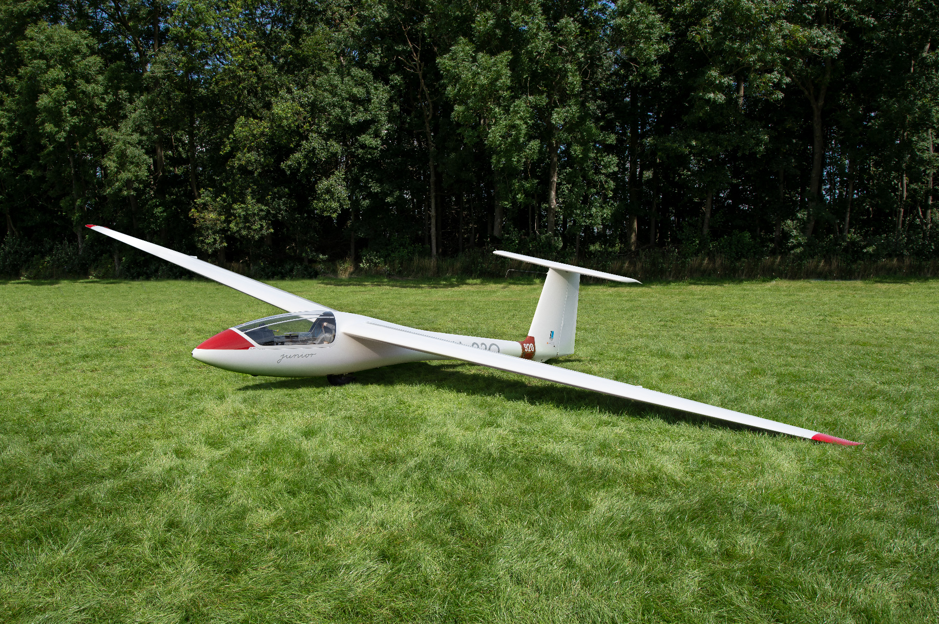 SZD-51 Junior: PH-920
